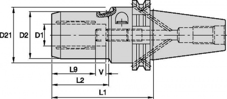 HC-DV, форма B/AD