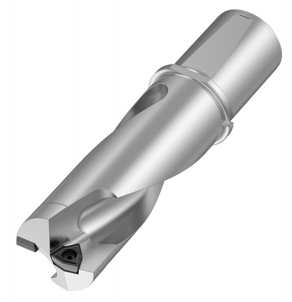 DFSP Whistle Notch WD Shank; 2 x D